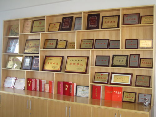 信息科技公司如何高效申请产品推广企业资质与管理优化